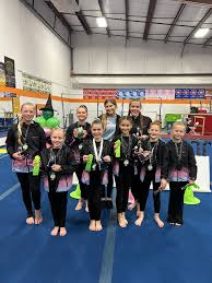 Image result for Mo-Gylity Gymnastics Club