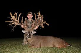 Image result for Big Bucks High Rollers