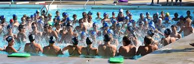 Image result for Wisbech Swimming Club