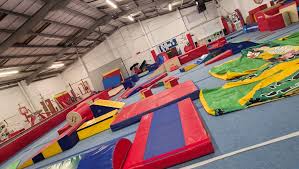 Image result for Lynx Gymnastics Club