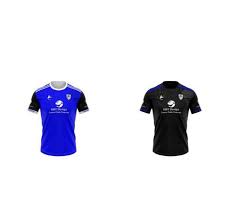 Image result for Wolfe Tones Gaelic Athletic Club