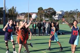 Image result for pulborough netball club