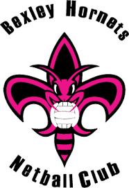 Image result for Hornets Netball Club