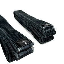 Image result for Tae-jitsu