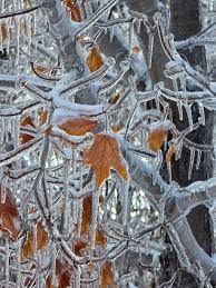 Image result for ice storm
