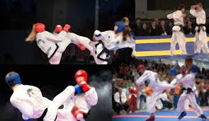 Image result for Cornwall Tae Kwon-Do