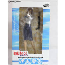 「辻本夏実 逮捕しちゃうぞ」の画像検索結果