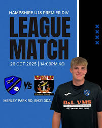 Image result for Cobham Sports Association Ltd