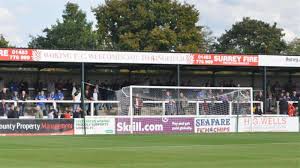 Image result for Woking Football Club