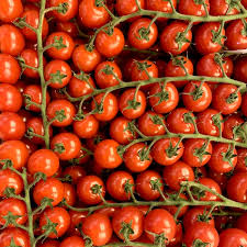 Afbeeldingsresultaat voor millionaire tomato