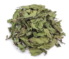 Attēlu rezultāti vaicājumam “Mentha spicata leaf”