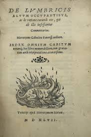 Image result for gabucino