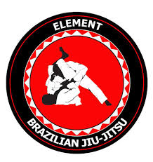 Image result for Full Element Mixed Martial Arts