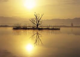 Znalezione obrazy dla zapytania takashi amano%