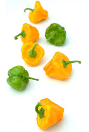 Afbeeldingsresultaat voor yellow mushroom hot pepper