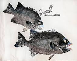 「魚拓」的圖片搜尋結果