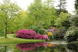 Image result for Arboretum Trompenburg