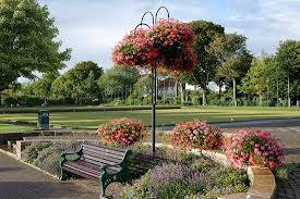 Image result for Worthing Pavilion Bowling Club