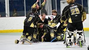 Image result for Team-Tigers Roller Hockey Club