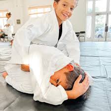 Image result for Ju Jitsu Tavistock
