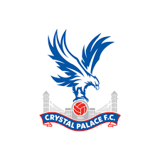 Image result for Crystal Palace Netball Club