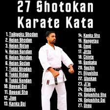 Image result for Shotokan Karate