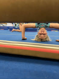 Image result for Aerodyne Gymnastics Club