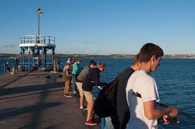 Image result for Weymouth Angling Society