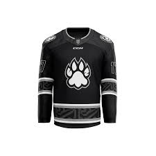 Image result for Haringey Junior Ice Hockey Club