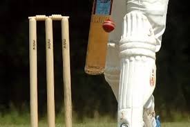 Image result for Theale and Tilehurst Cricket Club