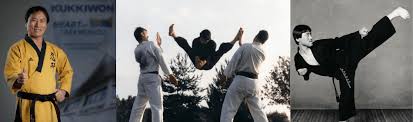 Image result for Masters of Martial Arts