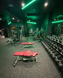 Image result for North Cheshire Brookfields Gym Club