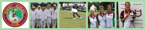 Image result for Bushey Bowling Club