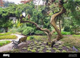 Image result for Arboretum Trompenburg