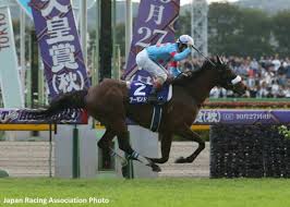 Image result for Almond Riding Club