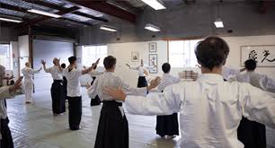 Image result for Sho Shin Kan Aikido Club