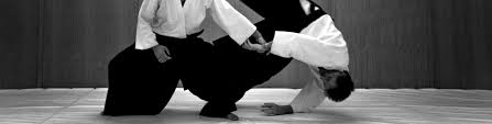 Image result for Fudokai Aikido Dojo