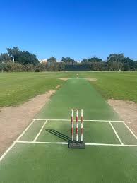 Image result for Octopus Cricket Club