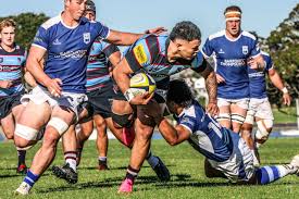 Image result for St Mary's Old Boys Rugby Union Football Club