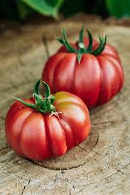 Afbeeldingsresultaat voor purple calabash tomato