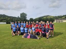 Image result for Bronwydd Cricket Club