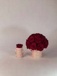 Image result for Red Rose Cc