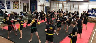 Image result for Thatcham Wado Karate Club