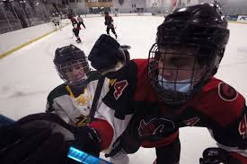 Image result for Demons Skater Hockey Club