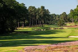Image result for West Surrey Golf Club