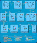 BioCarta - Charting Pathways of Life