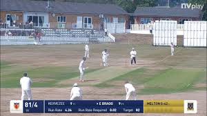 Image result for Halesowen Cricket Club