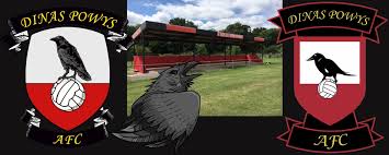 Image result for Dinas Powys Cricket Club