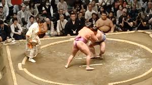 Image result for Exmouth Vikings Judo Club