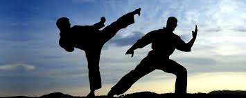 Image result for Fightback Martial Arts Centre, Epsom
